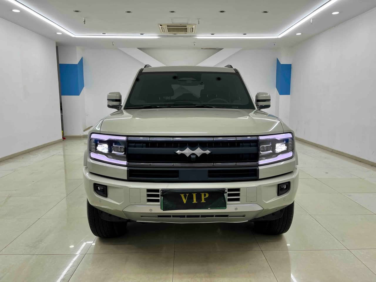 2025 FANGBAO Leopard 5; curated vehicle image