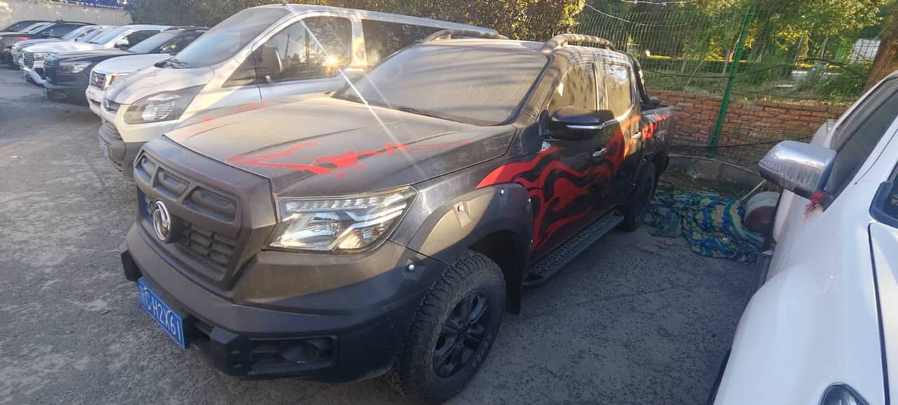 2021 Dongfeng Rich 6; curated vehicle image