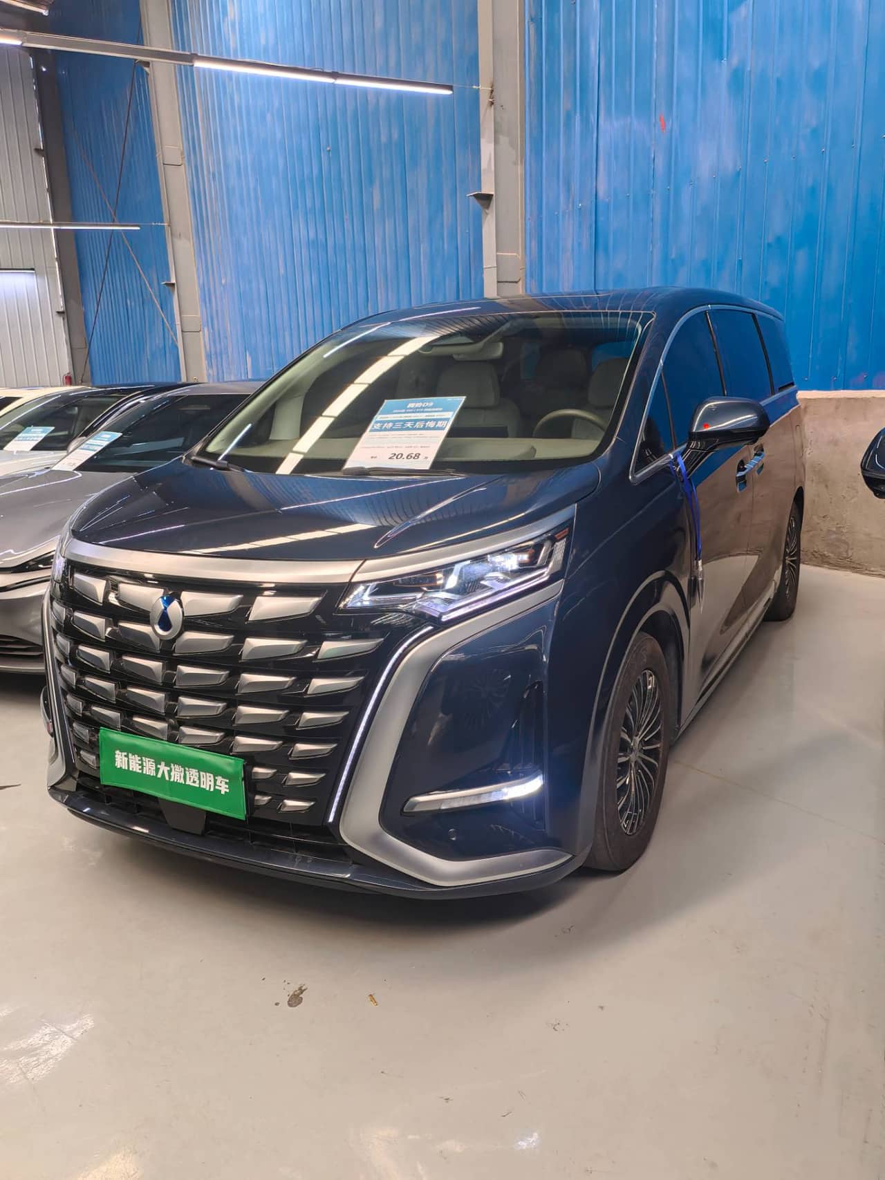 Denza vehicle