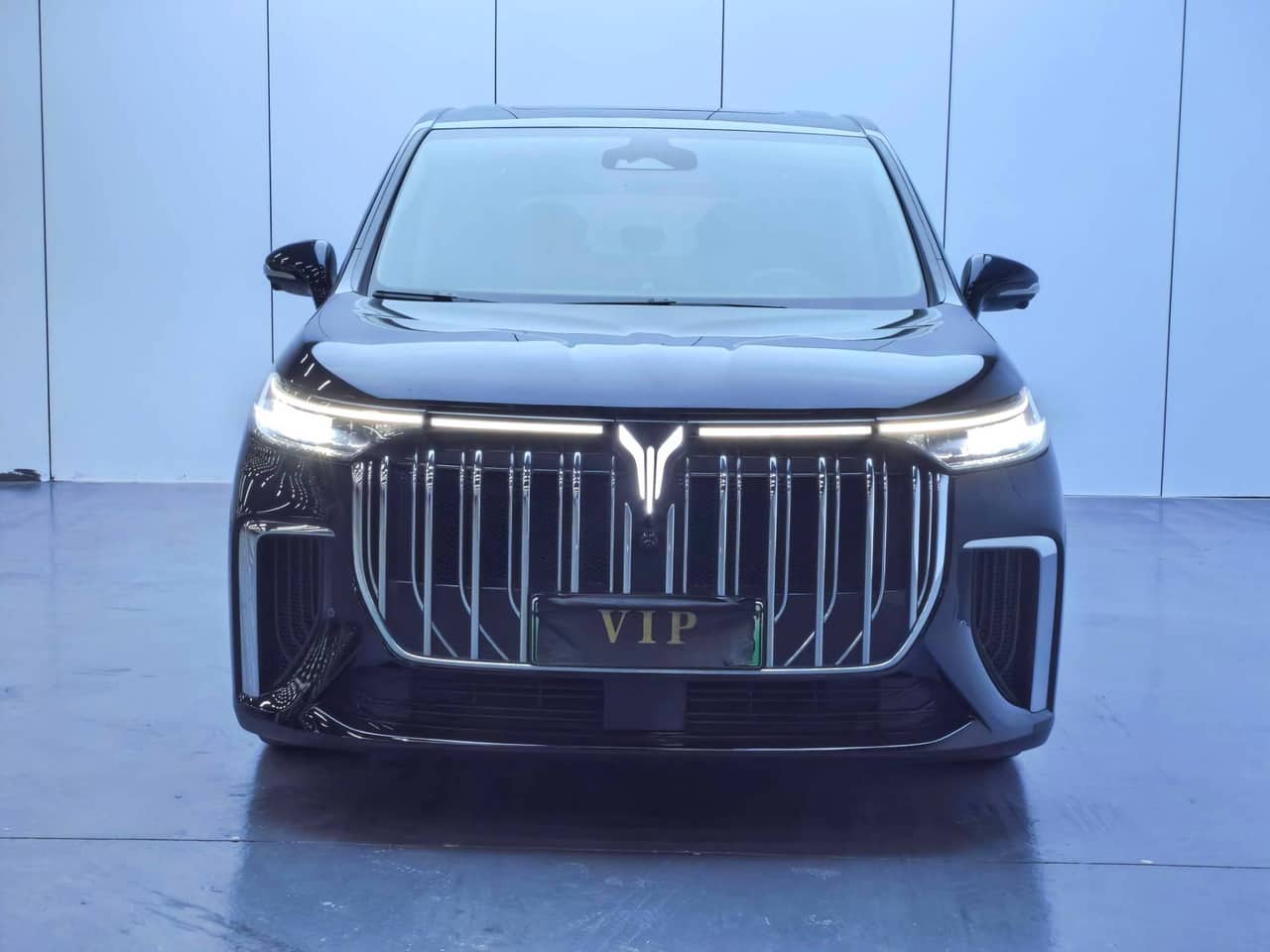2022 VOYAH Dreamer; curated vehicle image