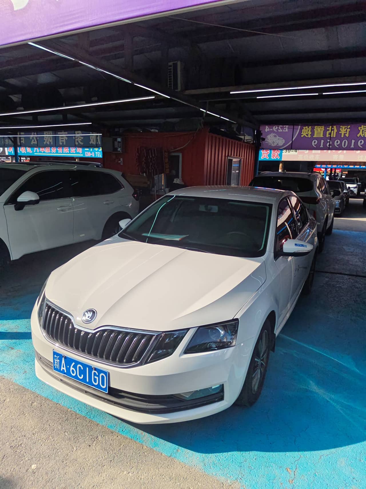 2021 Škoda Octavia; curated vehicle image