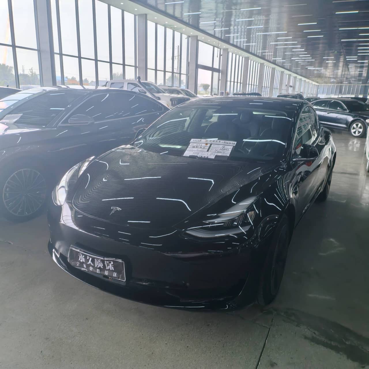 2020 Tesla Model 3; curated vehicle image